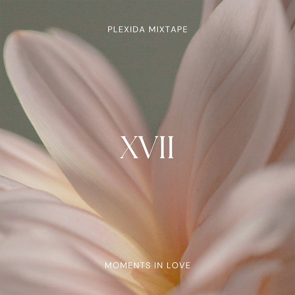Plexida Mixtape: Moments In Love
