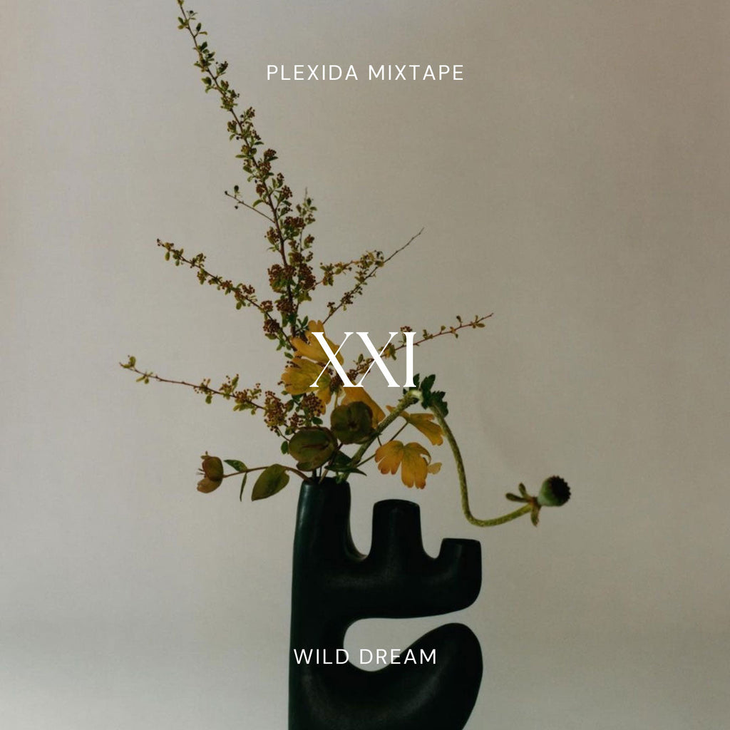Plexida Mixtape: Wild Dream